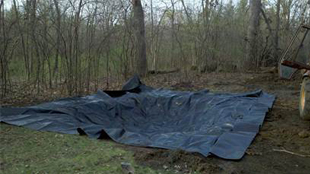 Services - small pond construction